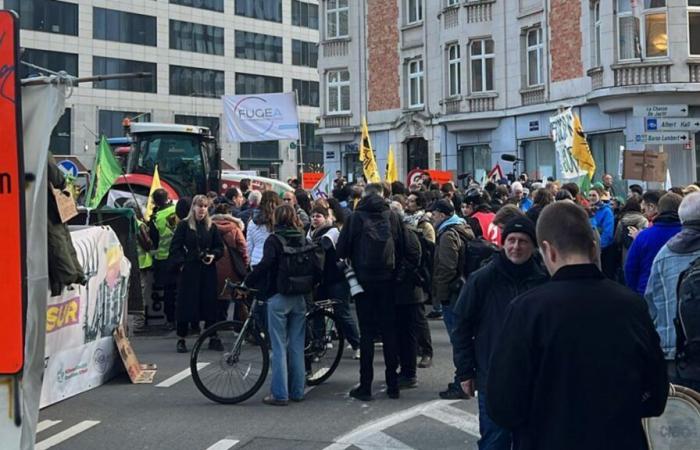 Casi un centenar de agricultores se manifiestan este miércoles en Bruselas: esto es lo que exigen