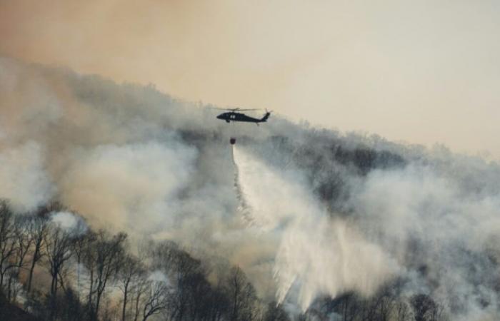 Más incendios, menos agua: la región de Nueva York presa de una grave sequía