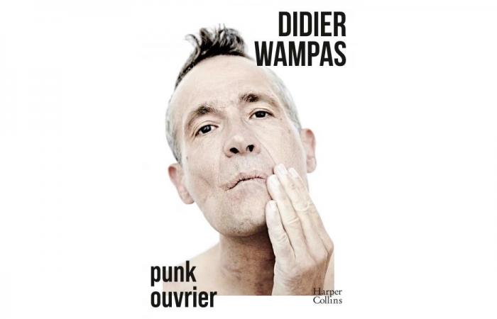 Didier Wampas, un punk trabajador que se abre • Le Suricate