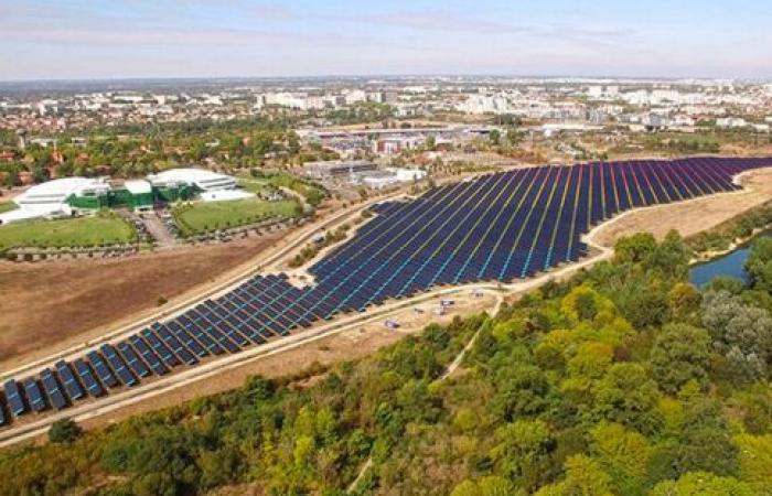 Licitación de energía solar montada en suelo: Neoen a la cabeza, los precios bajan