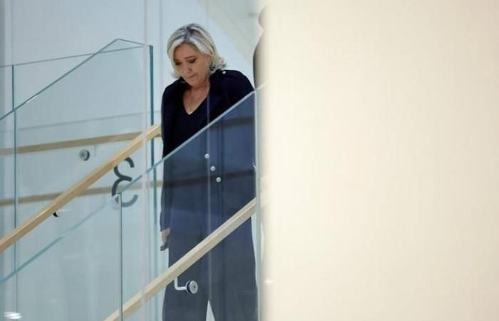 cinco años de prisión, dos de ellos cerrados, y cinco años de inhabilitación contra Marine Le Pen