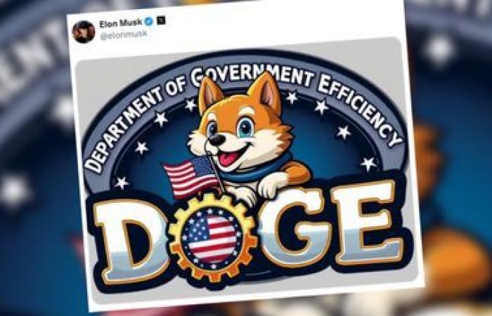 la pequeña historia detrás de Doge, el nuevo ministerio de Elon Musk