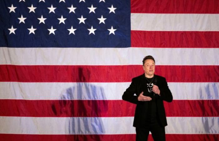 Musk, mano derecha de Trump, la loca apuesta política del hombre más rico del mundo – 13/11/2024 a las 16:15