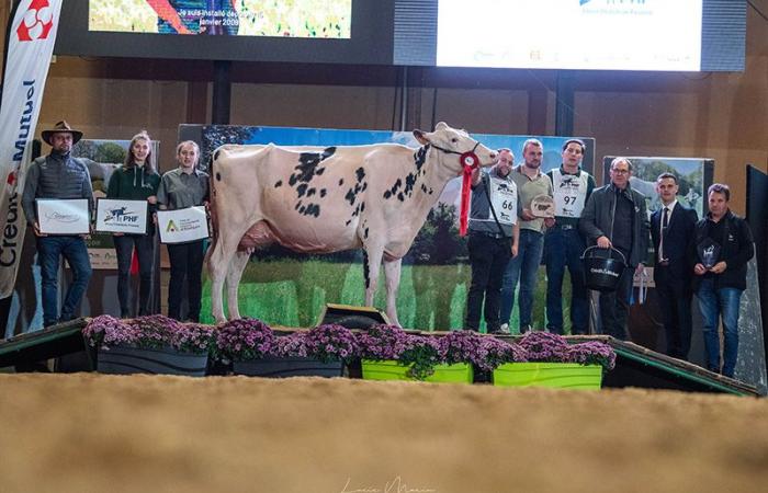 Ganadores del concurso departamental de Orne 2024