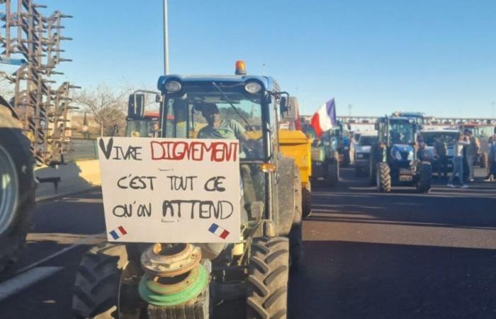 Los agricultores de Hérault planean movilizarse la próxima semana