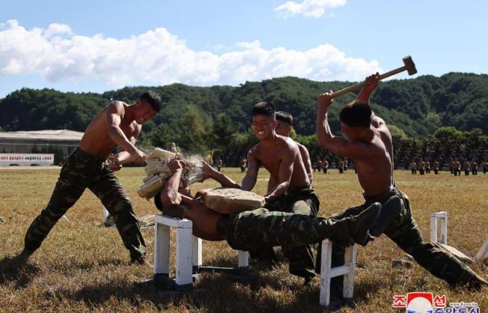 En el frente ruso-ucraniano, la prueba de fuego del ejército norcoreano