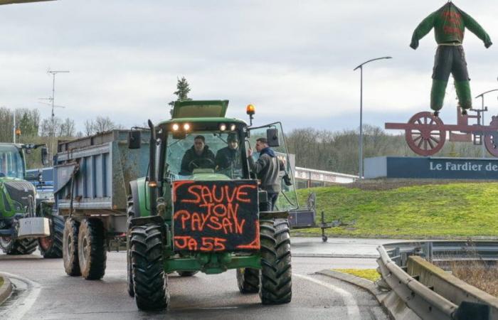 Mosa. Enojados, los jóvenes agricultores convocan a manifestaciones este jueves por la noche