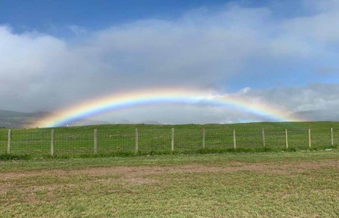 Pronóstico del tiempo del condado de Hawaii para el 13 de noviembre de 2024: Big Island Now