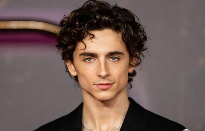 Timothée Chalamet ha trabajado para los directores más importantes de los últimos años y ha elegido su película favorita: ¡es una de sus primeras!