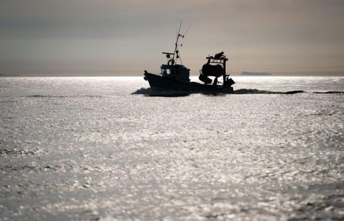 Interrupción de una corriente en el Atlántico | Los científicos hacen sonar la alarma