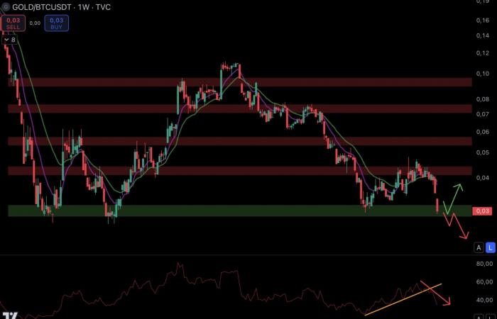 Bitcoin, oro, S&P 500 y NASDAQ en máximos – Le Point Macro