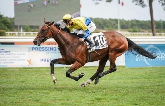 Predicción gratuita del PREMIO ALFRED SAINT-PALAIS