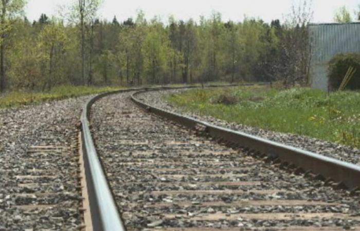 Bypass ferroviario: Nantes cesa toda comunicación con el gobierno federal