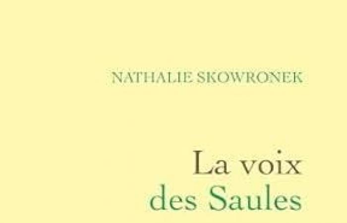 Velibor Čolić, Nathalie Skowronek, Romain Renard y Léonie Bischoff son los ganadores de los premios Rossel 2024