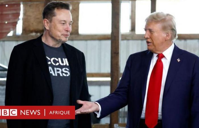 Donald Trump y Elon Musk: el presidente electo de EE.UU. nombra al fundador de Tesla para dirigir el nuevo Departamento de Efectividad Gubernamental