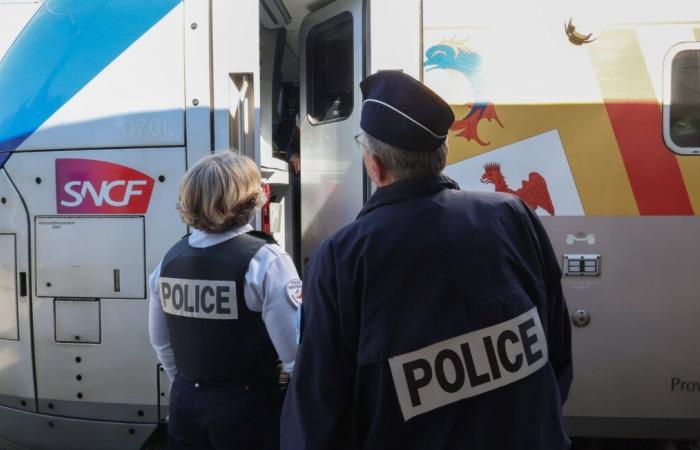 Detenido en un tren en Toulon bajo sospecha de otros asesinatos y agresiones