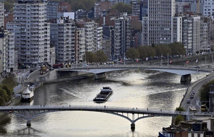 Se vierten dos toneladas de látex en el Mosa, en Francia, pero Bélgica no ha sido advertida: ¿cuáles son los riesgos para nuestra salud?