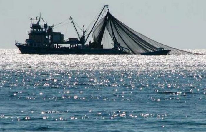 Zakia Driouich se reúne con los presidentes de las Cámaras de Pesca Marítima y los presidentes de asociaciones profesionales