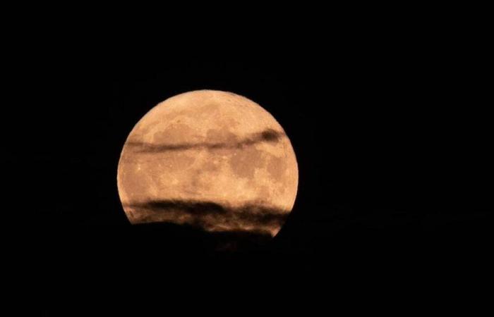 ¿Cuándo y cómo admirar la última Super Luna del año?