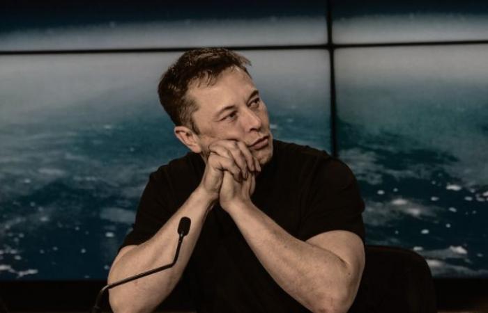 Un ministro felicita a Elon Musk: pánico en la izquierda