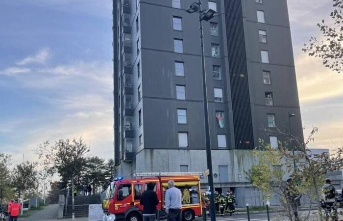 Inicio del incendio en el decimotercer piso de una torre en Nantes: los bomberos se movilizaron