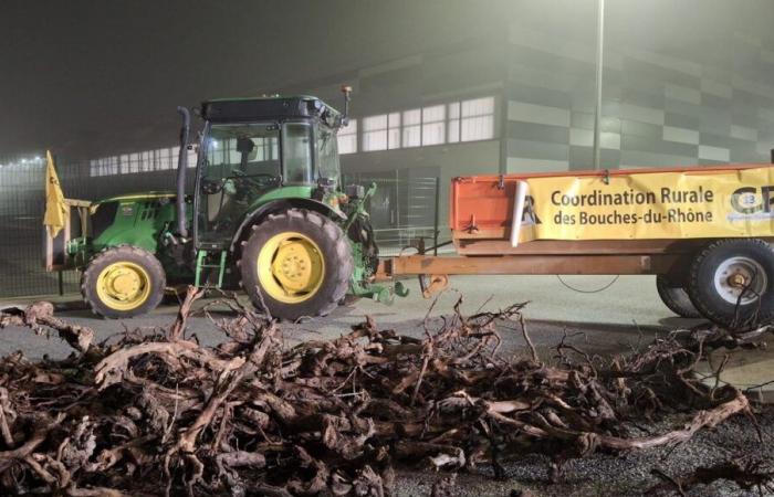 Movilización de agricultores en Bouches-du-Rhône: la plataforma Rousset LIDL bloqueada este jueves por la mañana