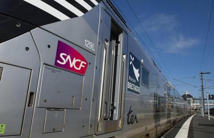 Rotura de catenaria en la línea París-Brest: 150 pasajeros evacuados de un TGV en Finistère