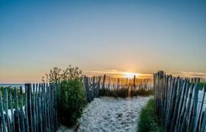 ¿Se disiparán las nieblas y las nubes bajas? ¿Hacia el regreso del sol?