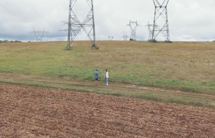 Seguidores solares y cultivos extensivos en Côte-d’Or