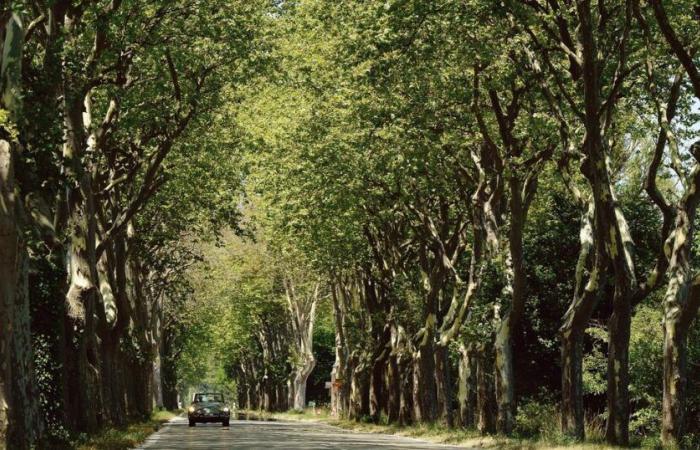 una evocación amorosa y alegremente nostálgica de una Francia desaparecida