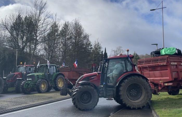 Agricultores del lote se movilizaron este lunes 18 de noviembre: lo que les espera