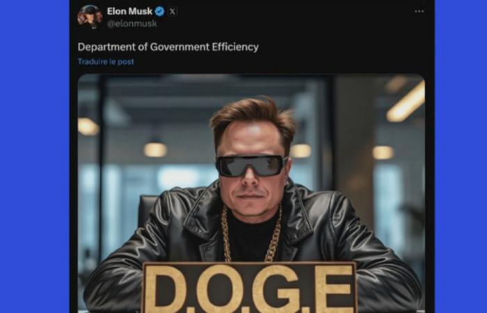 ¿Qué objetivos para el Ministerio de “Efectividad Gubernamental” coliderado por Elon Musk?