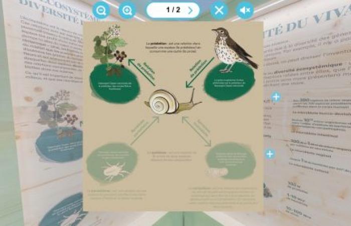 Una exposición virtual para comprender los vínculos entre clima y biodiversidad