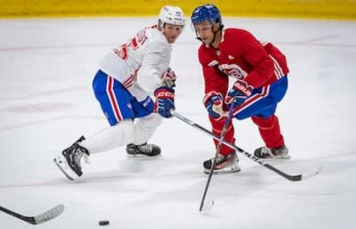 Una selección de séptima ronda del canadiense genera elogios: “Tiene posibilidades reales de jugar en la NHL”