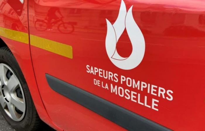 Metz. Un chalet de madera se incendia en La Grange-aux-Bois: una pareja reubicada