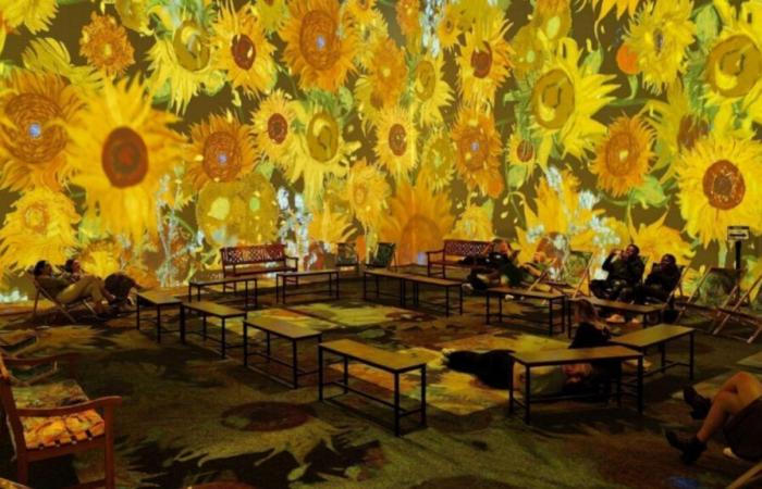 La increíble exposición inmersiva dedicada a Van Gogh llega a Lille