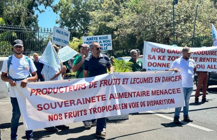 La soberanía alimentaria en peligro, los agricultores de la Reunión se movilizan