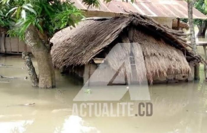 República Democrática del Congo: Las previsiones meteorológicas anuncian riesgos de inundaciones en varias regiones hasta enero de 2025