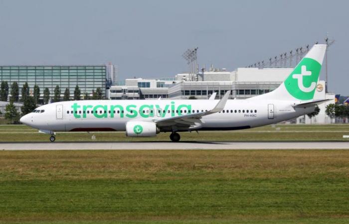 Interrupción mínima, con solo cuatro vuelos de Transavia cancelados.