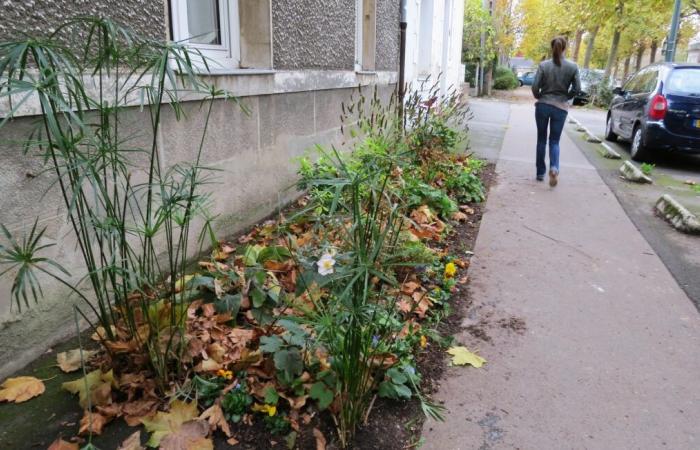 Una vecina de Rodez violada por un joven de 22 años en la calle