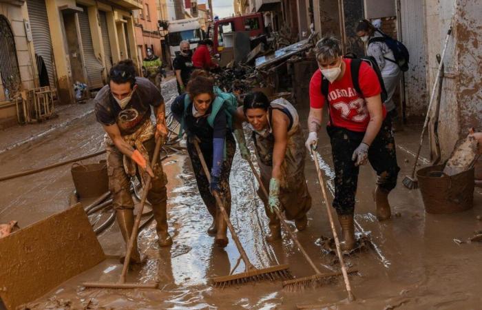 Daños también causados ​​por las “fake news”