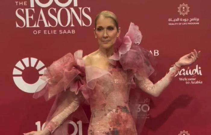 Celine Dion sorprende y canta en el desfile del estilista Elie Saab (vídeo)