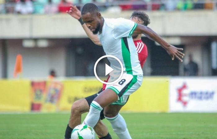 ‘Eguavoen no tiene idea de lo que está haciendo’: los fanáticos de Super Eagles reaccionan al Benin vs Nigeria