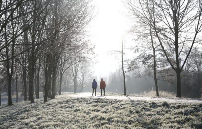 Diferencias de temperatura: heladas del suroeste al noreste al amanecer, se esperan 18°C ​​​​en Niza por la tarde