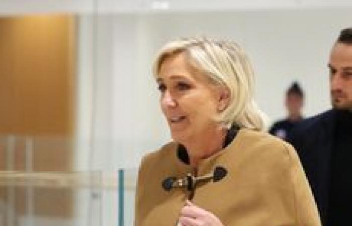 VERIFICAR – ¿Marine Le Pen es objeto de “un juicio político”? Comprobamos los argumentos de la extrema derecha