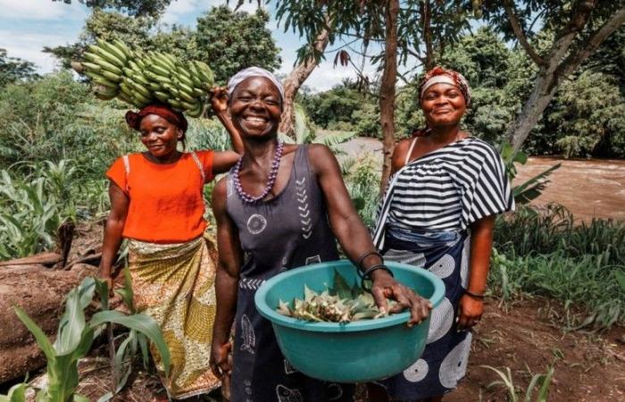 Foro Anual de Sistemas Alimentarios Africanos 2025: Senegal dará la bienvenida a 6.000 participantes para transformar la agricultura en África – VivAfrik