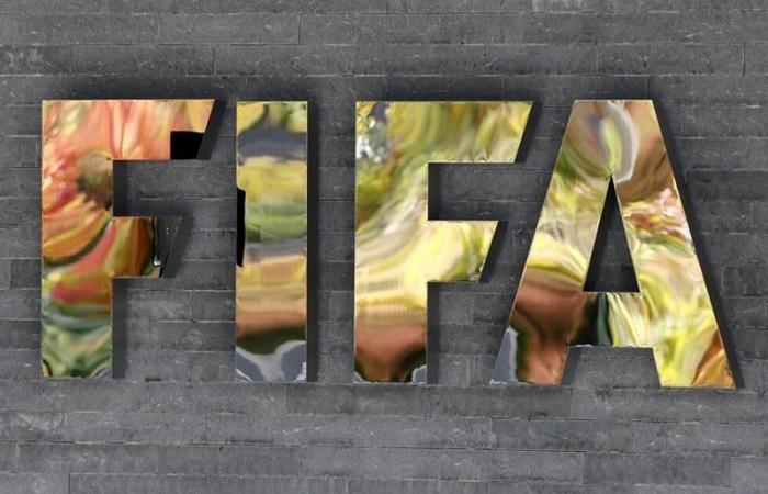 La FIFA planea introducir el uso del vídeo para los entrenadores