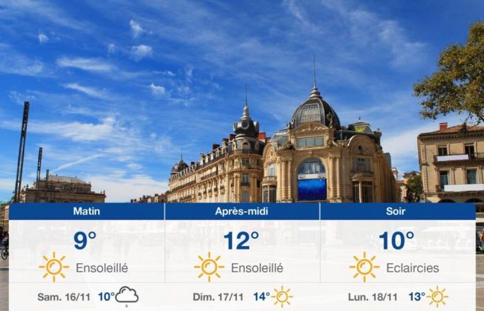 pronóstico para el viernes 15 de noviembre de 2024