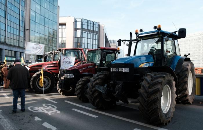 Los agricultores denuncian el tratado UE-Mercosur