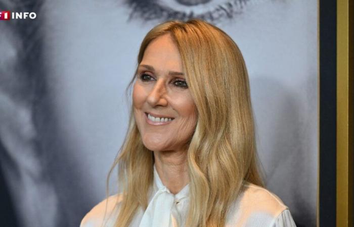 Celine Dion vuelve a los escenarios: su concierto sorpresa en el desfile de Elie Saab en Arabia Saudita